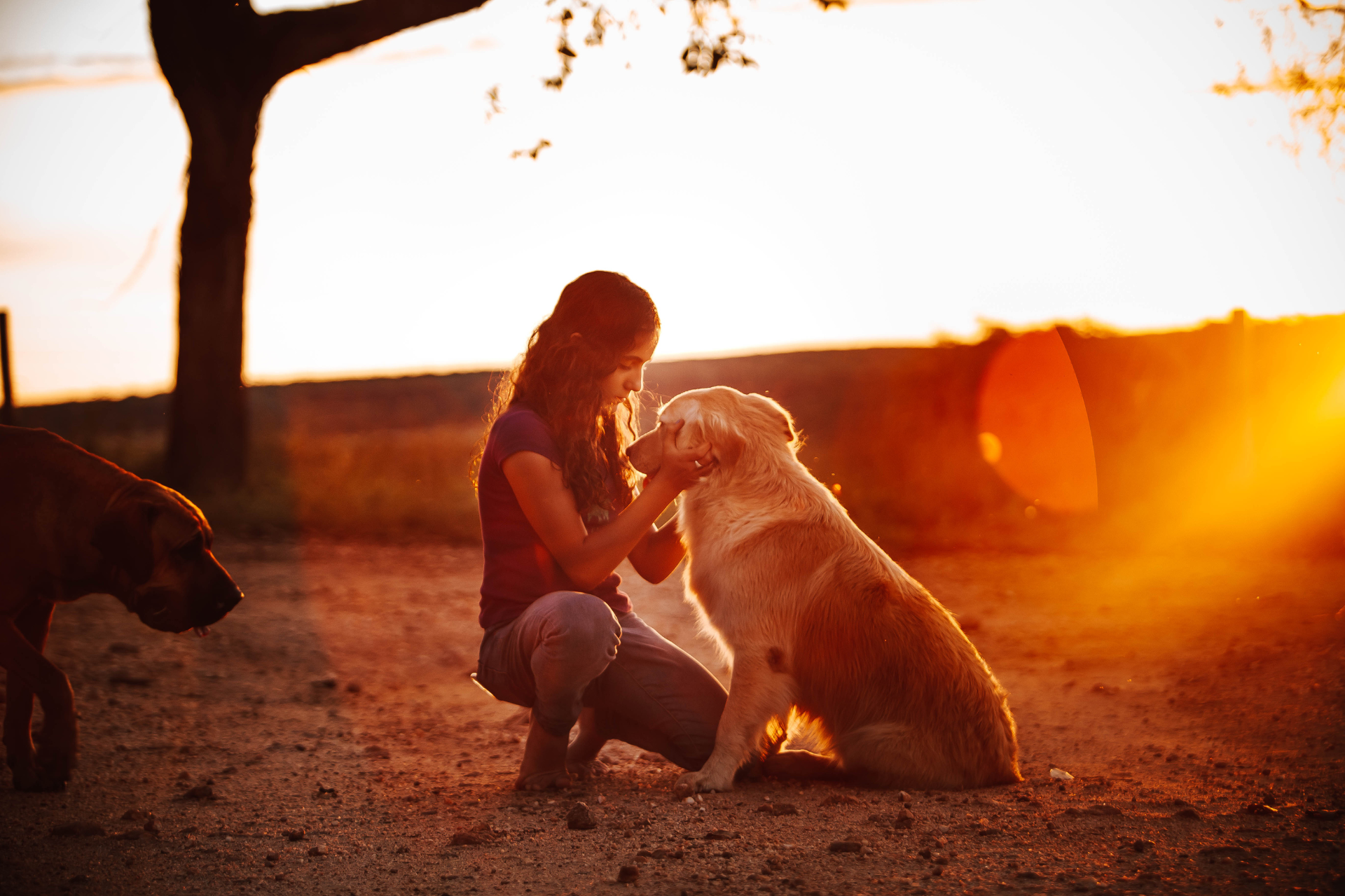 The Environmental Benefits of Aquamation vs. Flame-Based Cremation at Serene Waters Pet Cremation,Aquamation and Flame-Based Cremation,Environmental Benefits of Aquamation
