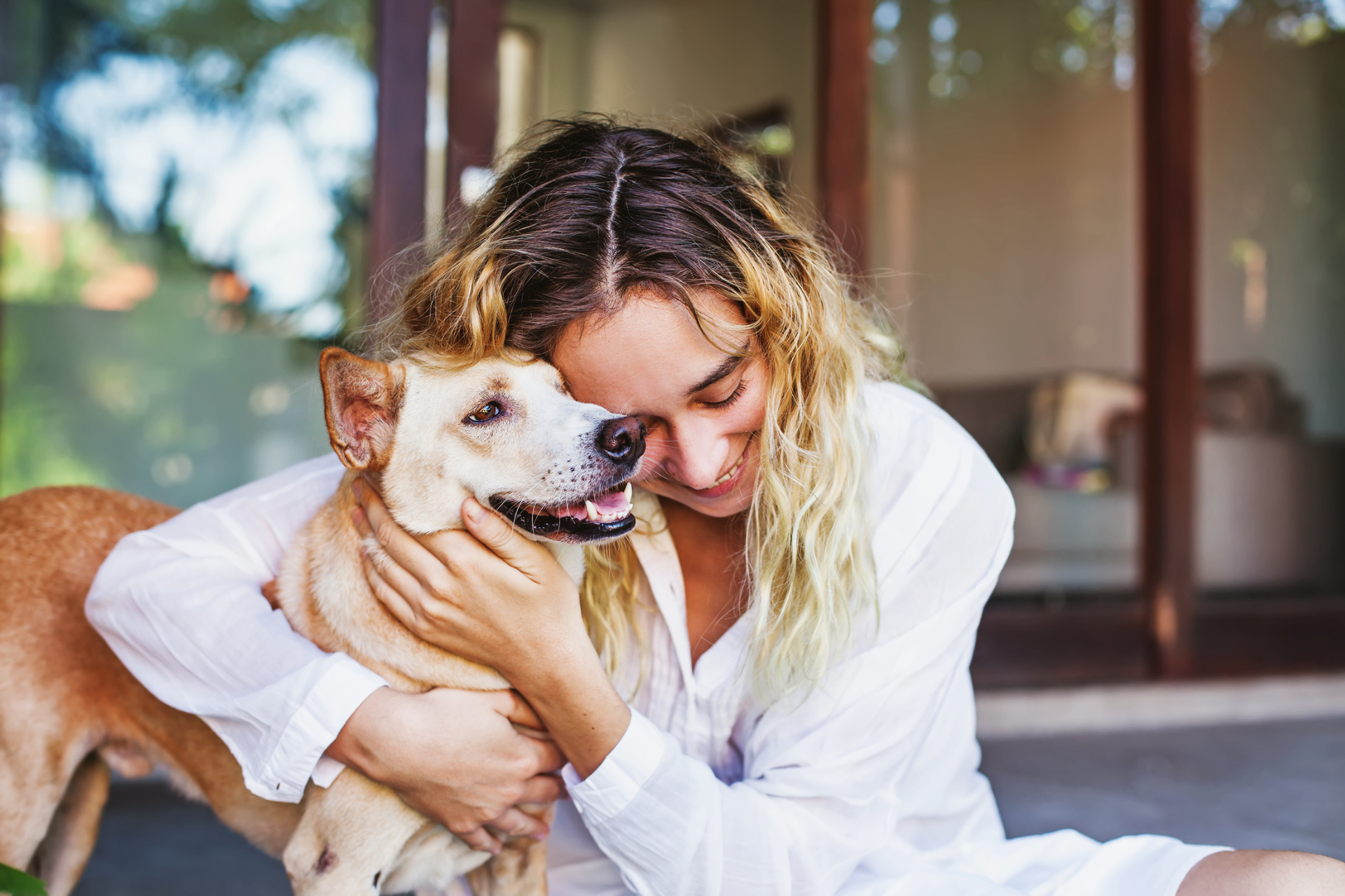 Saying Goodbye with Compassion: How Serene Waters Apart Cremation Can Ease Your Pet’s Passing,Understanding Aquamation Cremation,The Serene Waters Difference,Creating Lasting Memories