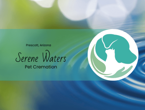 the environmental benefits of aquamation vs. flame based cremation at serene waters pet cremation