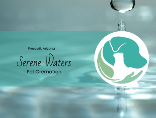 understanding aquamation a gentle alternative for pet cremation