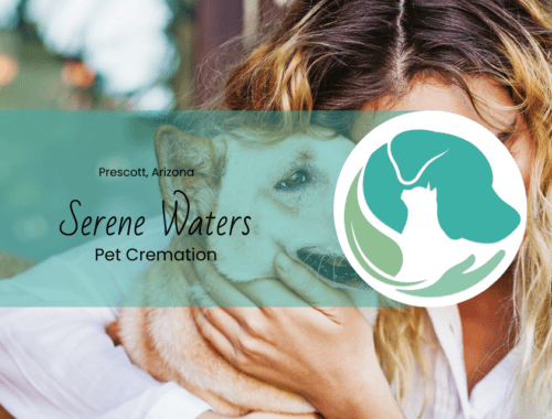 understanding aquamation a gentle alternative for pet cremation