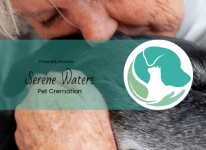 honoring your pet what to do with aquamated remains