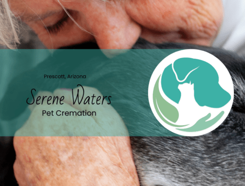 honoring your pet what to do with aquamated remains